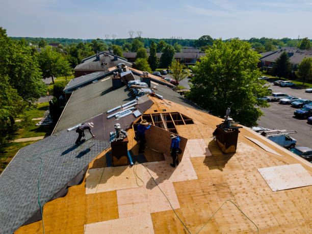 Trusted Roofing service in Bridgewater, VA - Brentwood Metal Roofing